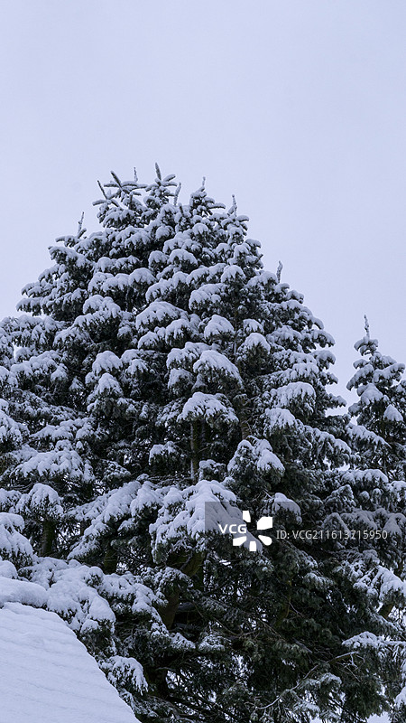 德国汉堡2026年大雪的小镇风景图片素材