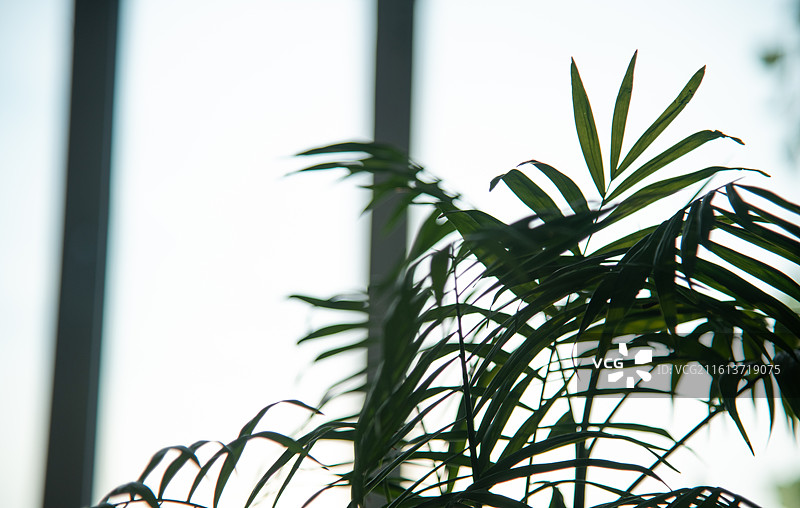 秋天 落叶 孤独 寂寞的情绪图片素材