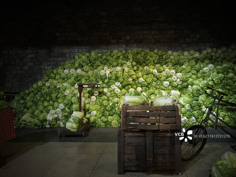 大量白菜陈列的室内展示空间图片素材