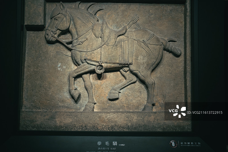 昭陵六骏 博物馆 历史 李世民 文物古迹 艺术品 石雕 石刻 雕塑 唐代图片素材