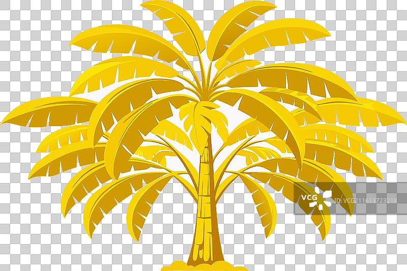 大香蕉树剪影图片素材