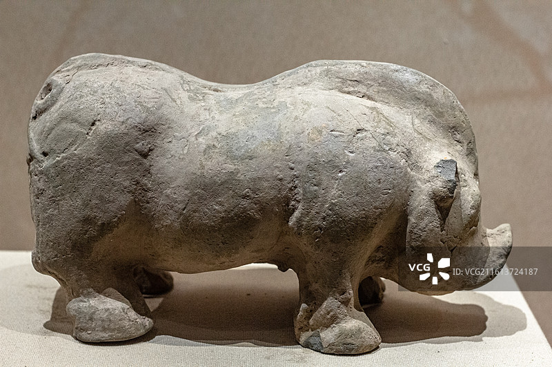 中国国家博物馆展出的汉代 素面陶猪站立家猪图片素材