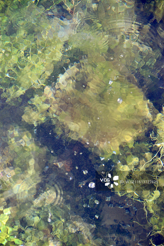 济南白石泉清澈的泉水图片素材