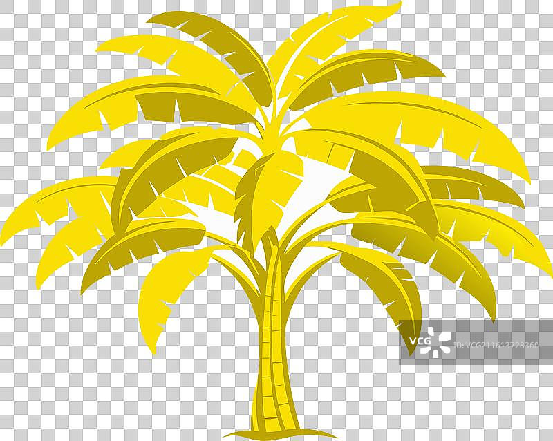 大香蕉树剪影图片素材