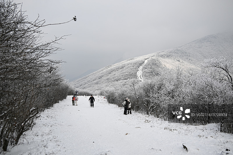 大雪后安吉龙王山雪景雾凇图片素材