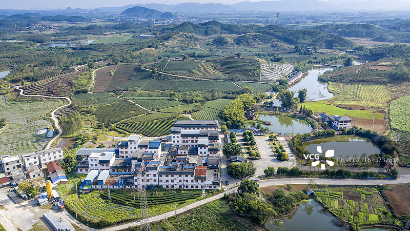 广西大明山茶园景区环大明山旅游风景道上林段世界长寿乡霞客眷恋地图片素材