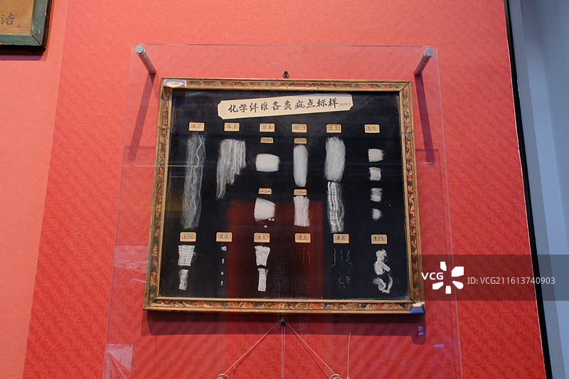 石家庄老棉纺厂棉花样本标本特写。棉籽棉花壳。织音1953展览图片素材