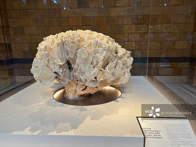 英国自然历史博物馆图片素材