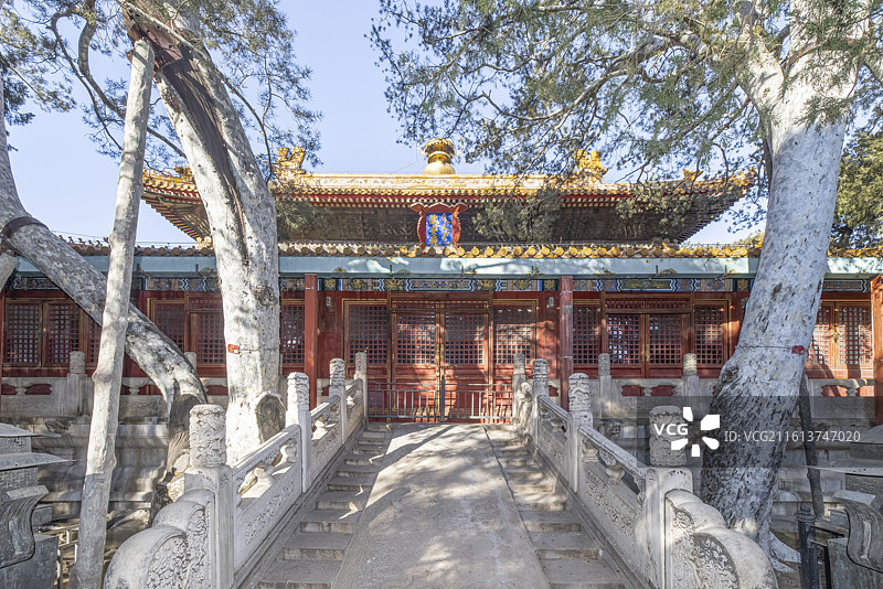北京故宫御花园钦安殿图片素材