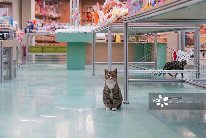 老仓焕新：藏在粮仓里的书店、咖啡与面包香图片素材