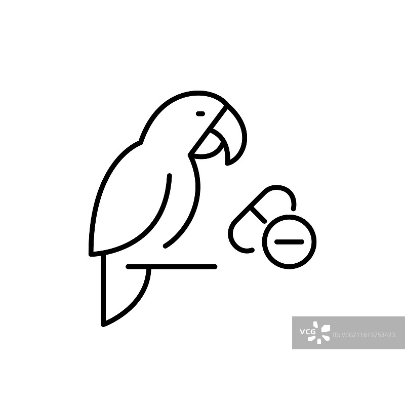 宠物鹦鹉和兽医药物丸图片素材