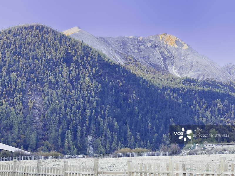 稻城亚丁：雪山，日照金山，蓝天，彩林图片素材