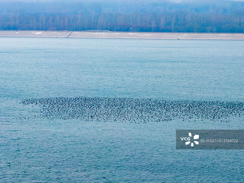 航拍济南玉清湖水库图片素材