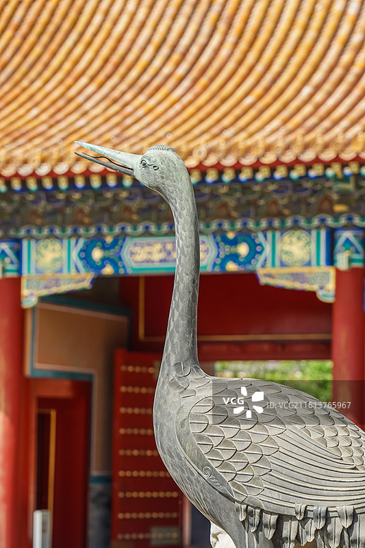 北京故宫，石鹤雕像前的古建筑图片素材