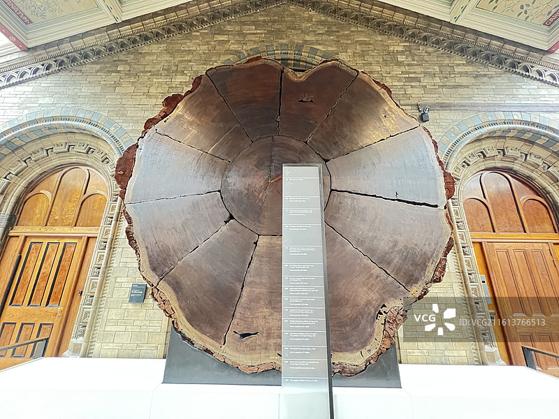 英国自然历史博物馆图片素材