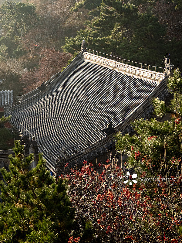 泰山山顶天街人文景观图片素材