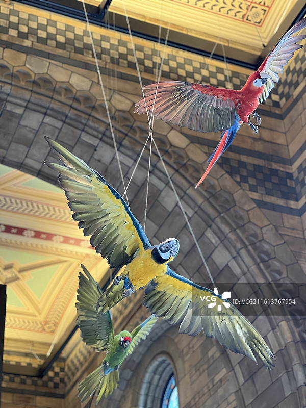 英国自然历史博物馆图片素材