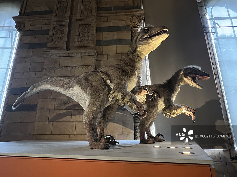 英国自然历史博物馆图片素材