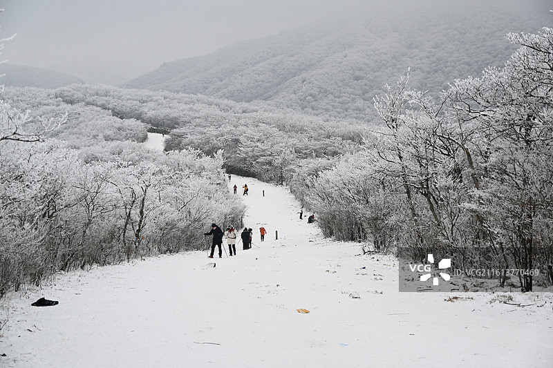 大雪后湖州安吉龙王山雪景雾凇图片素材