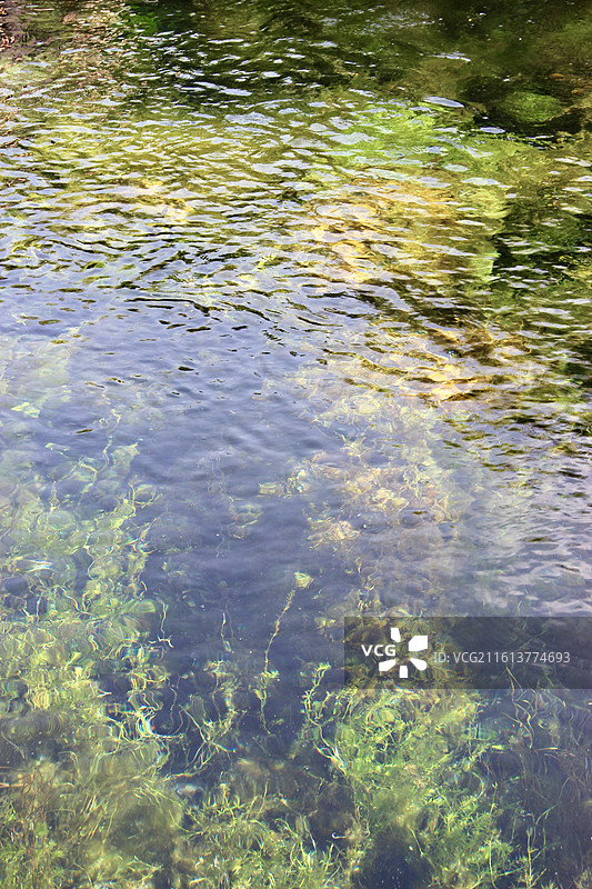 济南白石泉清澈的泉水图片素材
