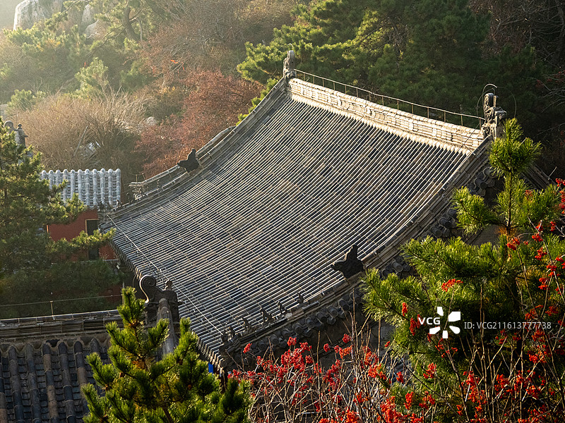 泰山山顶天街人文景观图片素材