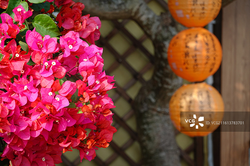 北海流下村，冠头岭海滩日落和北海老街夜景图片素材