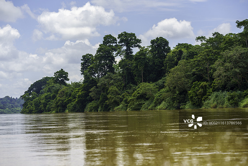 马来西亚著名景区塔曼奈加拉（大汉山）国家公园淡美岭河上的雨林风光图片素材