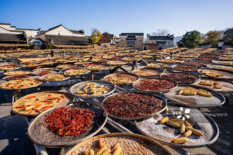 晒秋广场秋收冬藏晾晒谷物丰收季节秋季图片素材