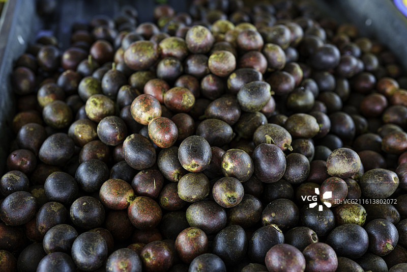 马来西亚砂拉越州首府古晋著名市场Medan Niaga Satok售卖的婆罗洲黑橄榄（Dabai）图片素材