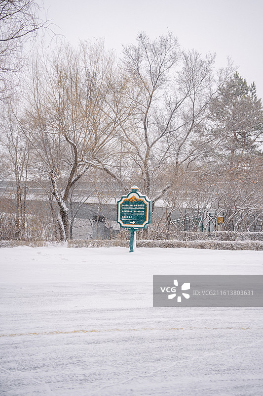 哈尔滨·太阳岛图片素材
