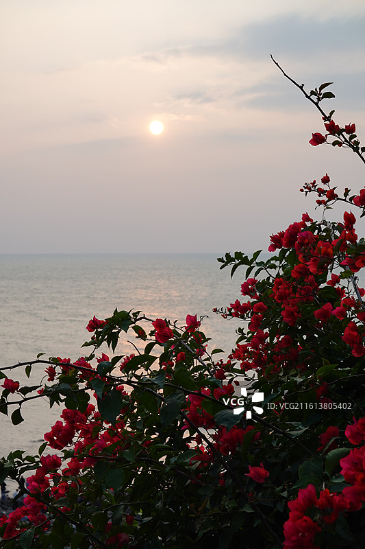 北海流下村，冠头岭海滩日落和北海老街夜景图片素材