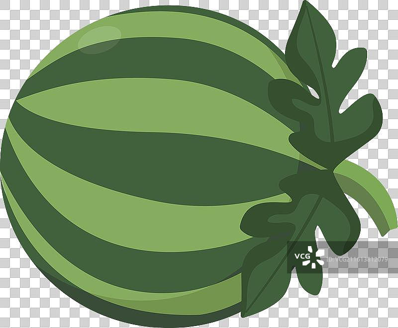 一个完整的大西瓜图片素材