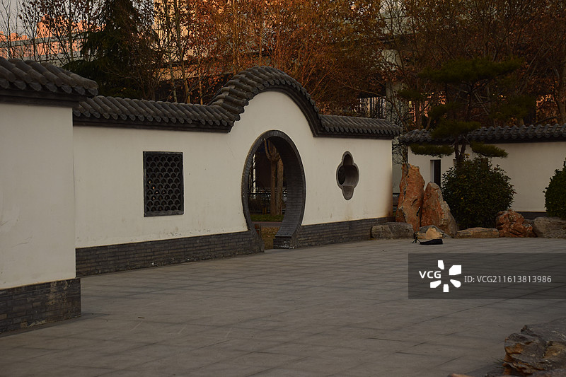 石家庄塔南公园—腊梅花图片素材