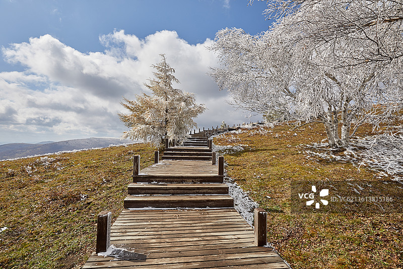 内蒙古赤峰克什克腾旗大兴安岭黄岗梁热阿线风光兴安落叶松雾凇树挂栈道雪图片素材