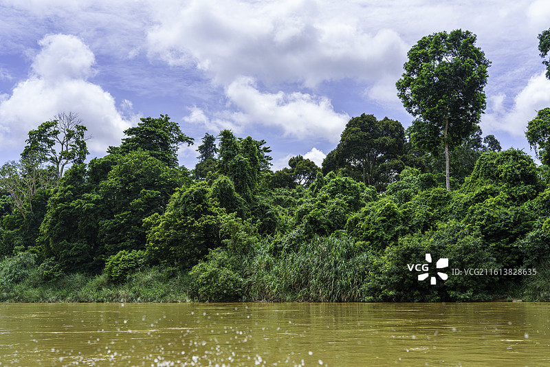 马来西亚著名景区塔曼奈加拉（大汉山）国家公园淡美岭河上的雨林风光图片素材