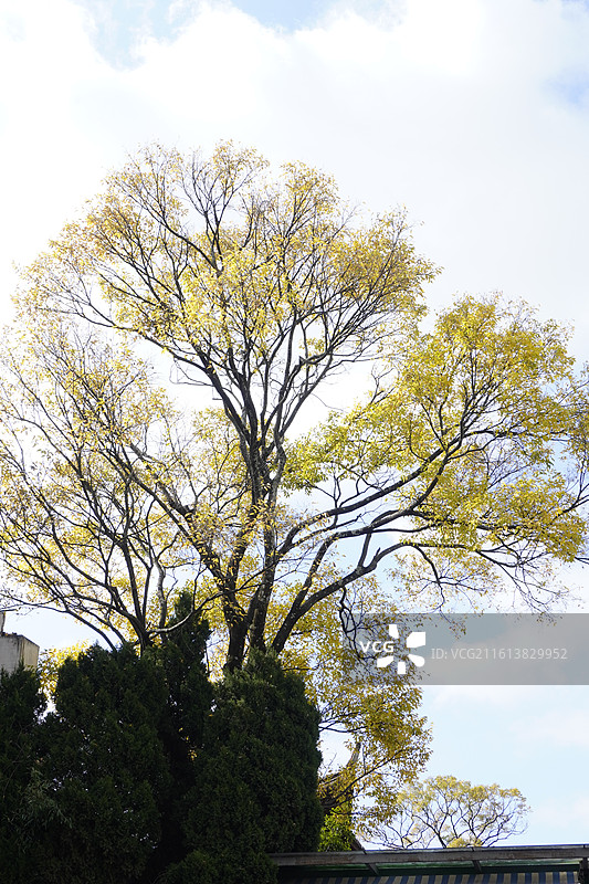 云南民族大观园图片素材