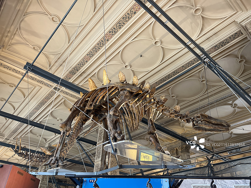 英国自然历史博物馆图片素材