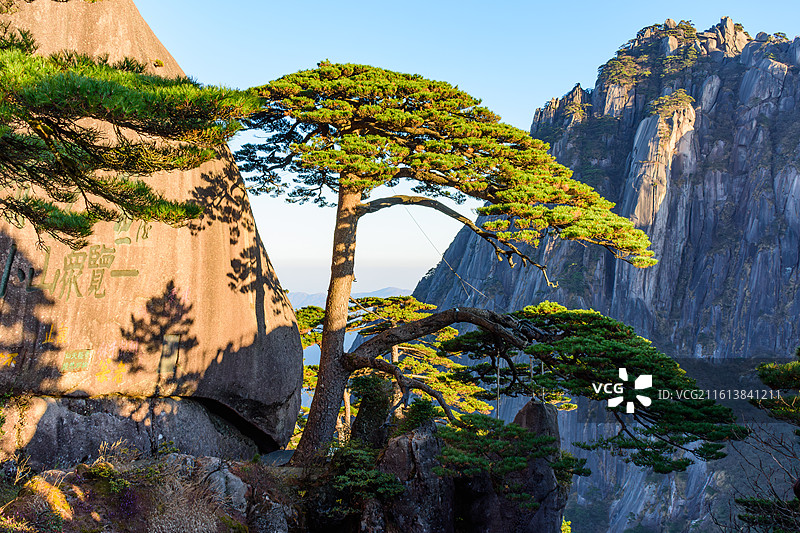 安徽黄山，迎客松。图片素材