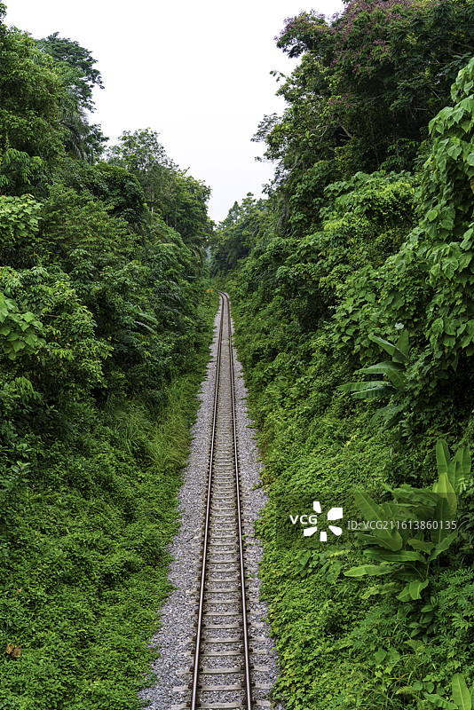 马来西亚彭亨州瓜拉立卑市郊的丛林铁路风光图片素材