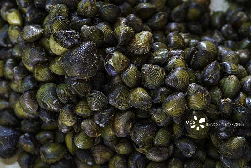 马来西亚吉兰丹州首府哥打巴鲁著名市场西迪卡利嘉大巴扎售卖的腌制蛤蜊图片素材