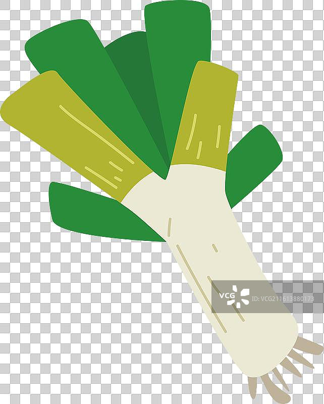 韭葱 蔬菜 韭葱图片素材