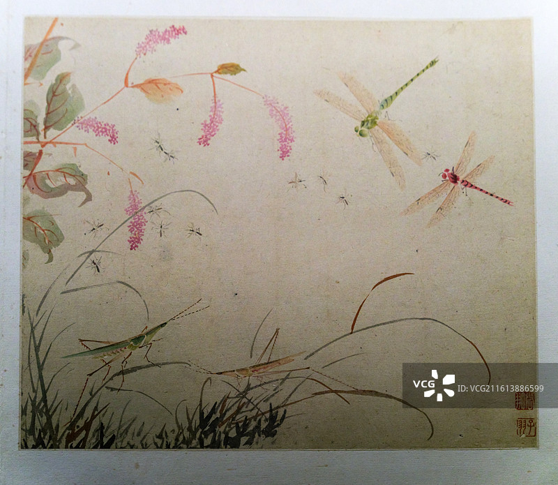 《花果草虫册》 明·张翀 纸本设色 中国美术馆“墨韵文脉-广州艺术博物院藏明清书画精品展”图片素材