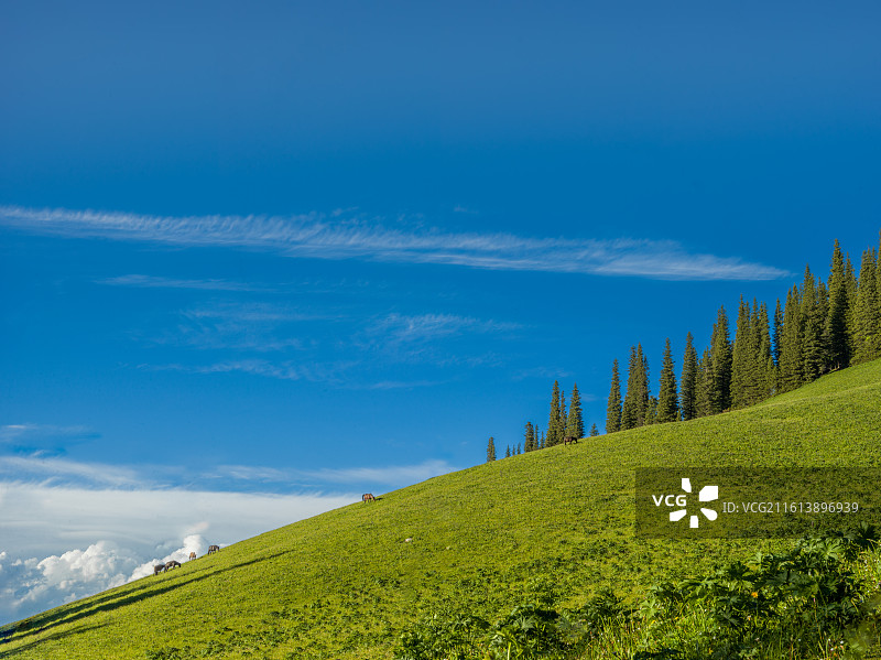 新疆维吾尔自治区伊犁哈萨克自治州新源县那拉提镇的那拉提草原。画面中，广阔无垠的绿色草原如绿毯般铺展，图片素材