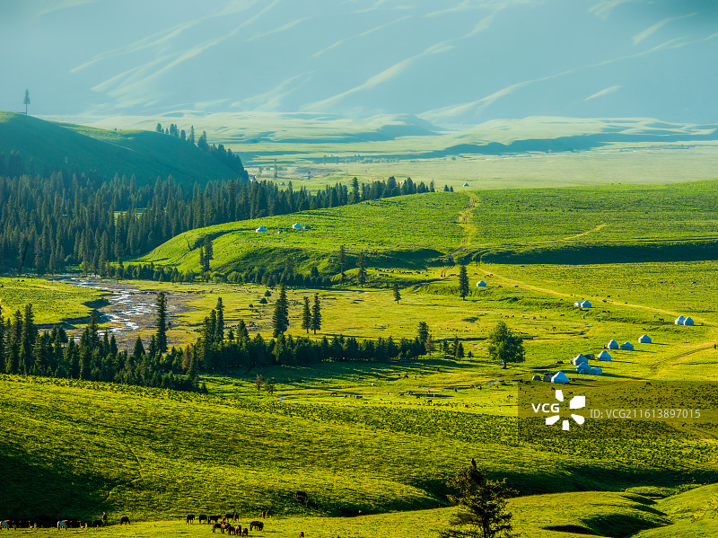 新疆维吾尔自治区伊犁哈萨克自治州新源县那拉提镇的那拉提草原。画面中，广阔无垠的绿色草原如绿毯般铺展，图片素材