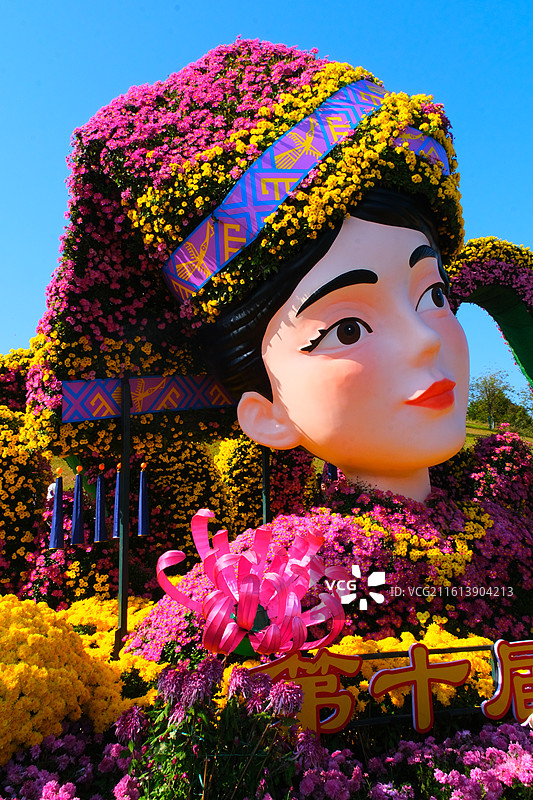 广西南宁青秀山菊花展图片素材