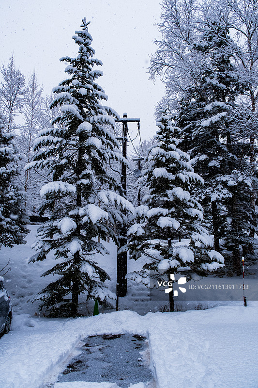 冬天日本北海道道东钏路市阿寒湖，雪景中的阿寒川日式豪华温泉旅馆酒店，大雪纷飞雪地上树木图片素材