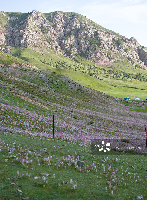 青海德令哈柏树山图片素材