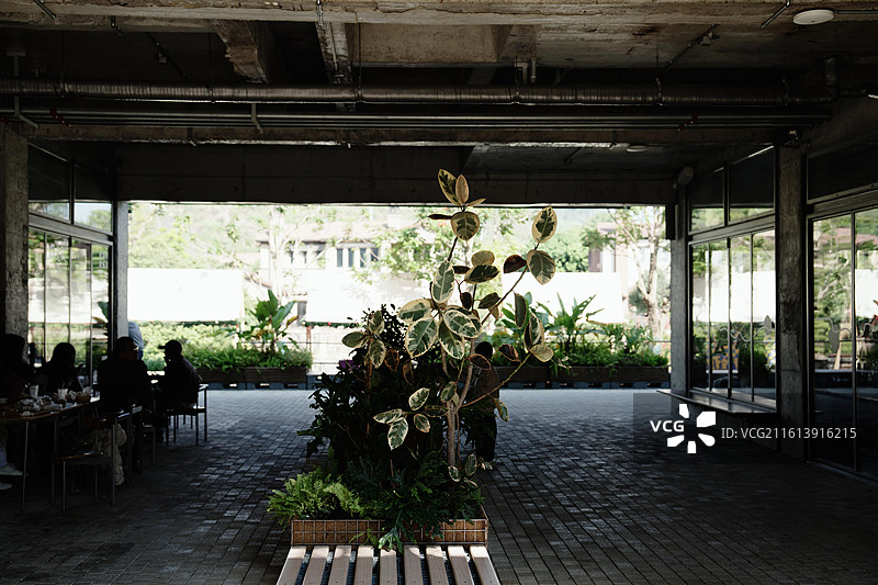 广州阿那亚图片素材