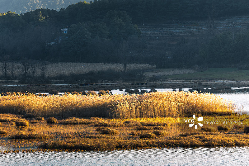 云南昭通巧家县马树镇湿地冬天的下午和黄昏图片素材