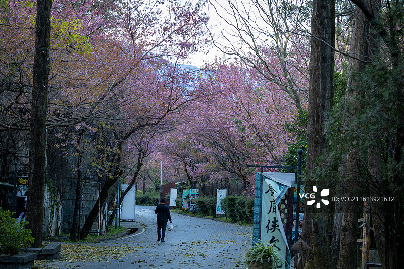 大理天龙八部影视城图片素材